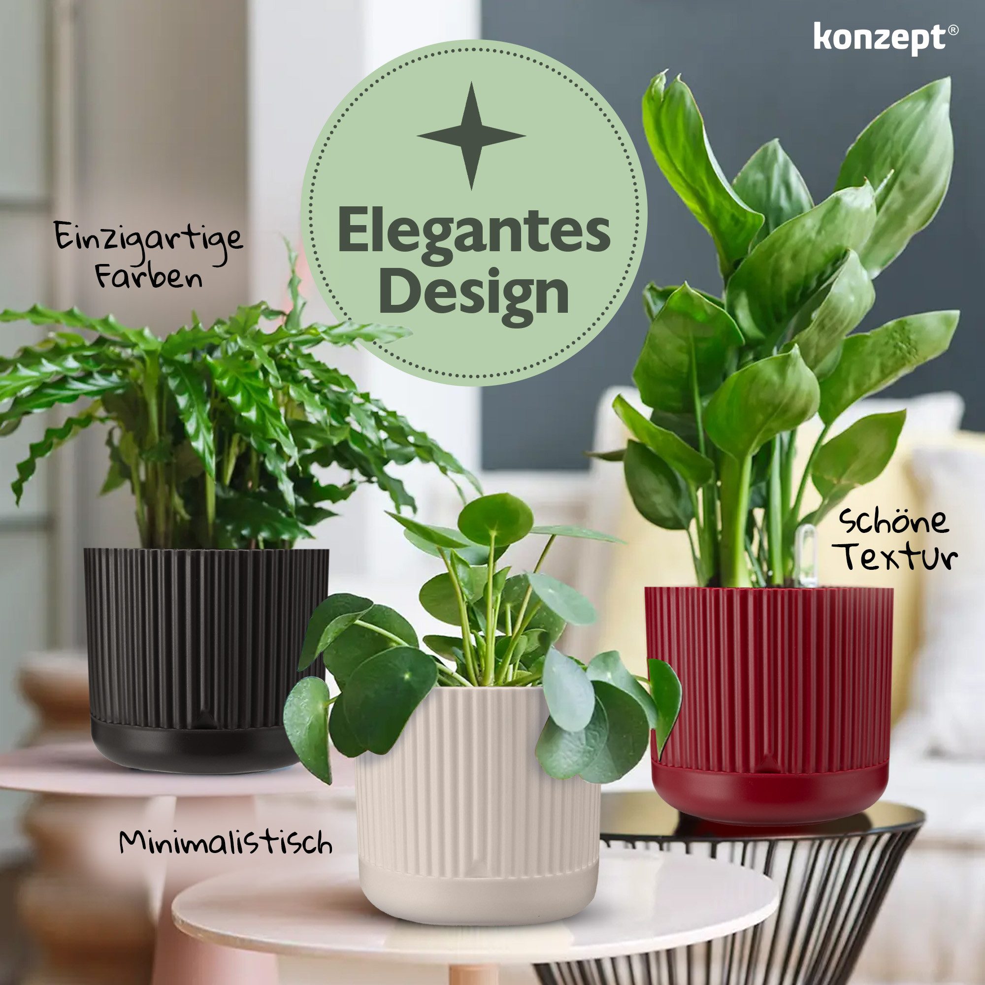 KONZEPT Blumentopf mit Untersetzer, 16 cm günstig online kaufen