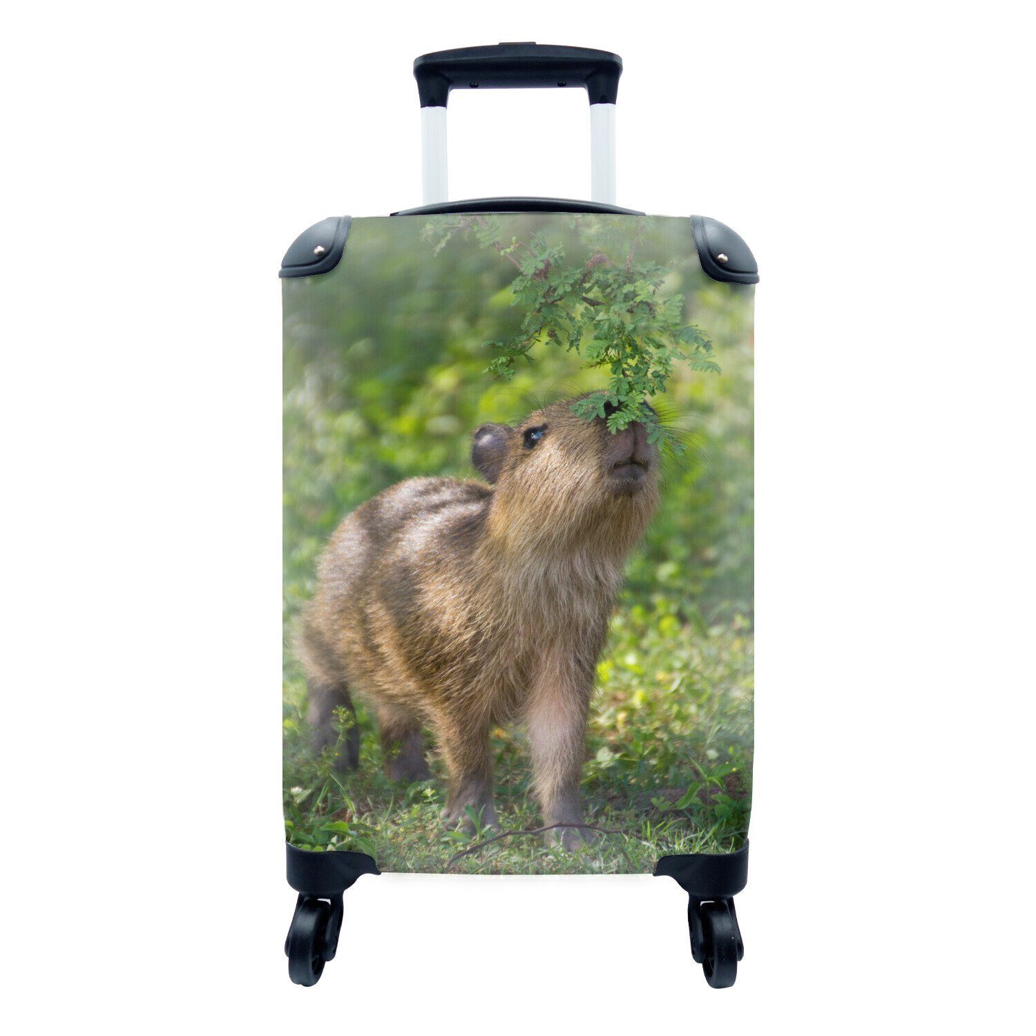 MuchoWow Handgepäckkoffer Ein Wasserschweinbaby frisst die grünen Blätter, 4 Rollen, Reisetasche mit rollen, Handgepäck für Ferien, Trolley, Reisekoffer
