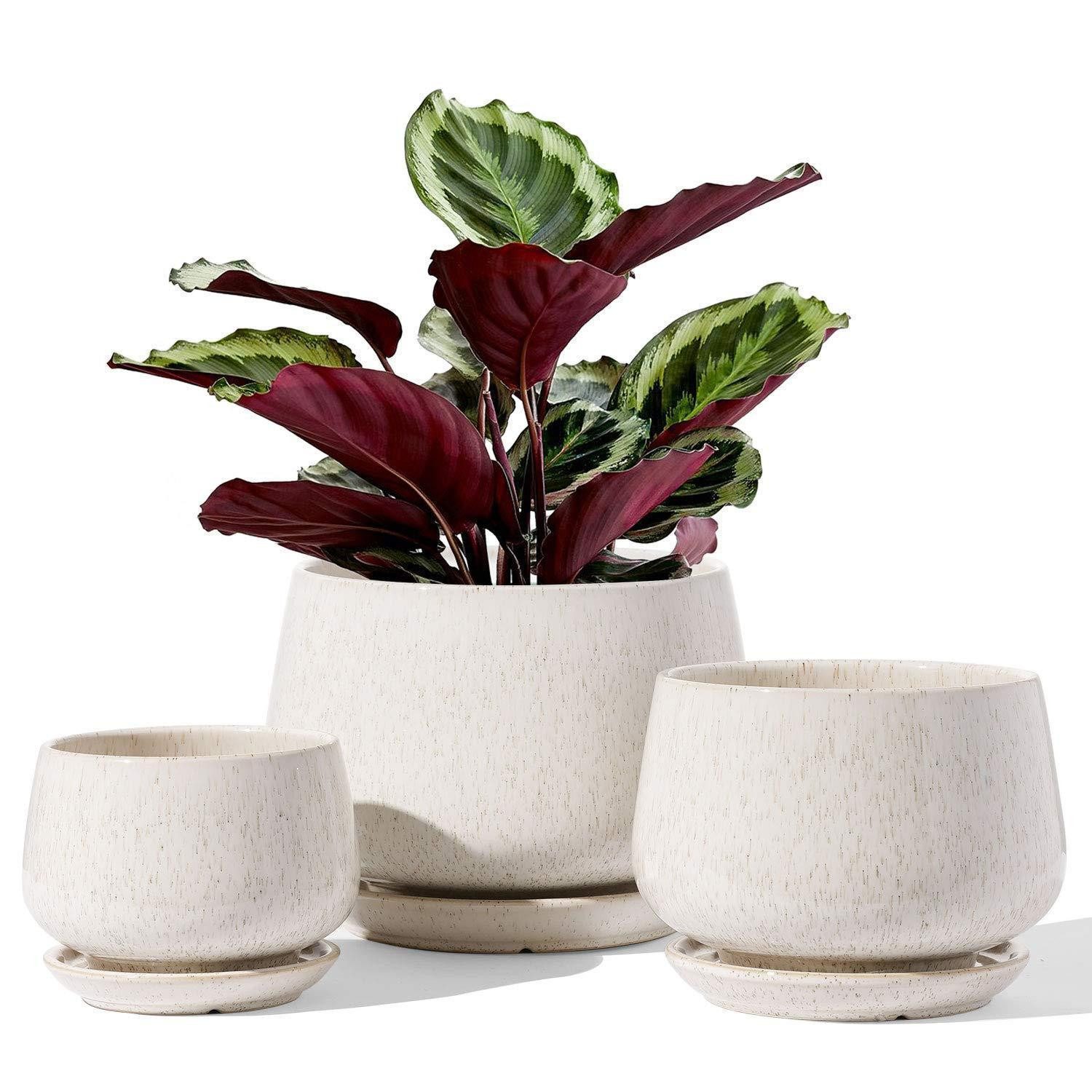 LuxusKollektion Blumentopf Blumentöpfe Keramik Untersetzer 10 13 16cm 3er Reaktive Glasur Beige (1 St)
