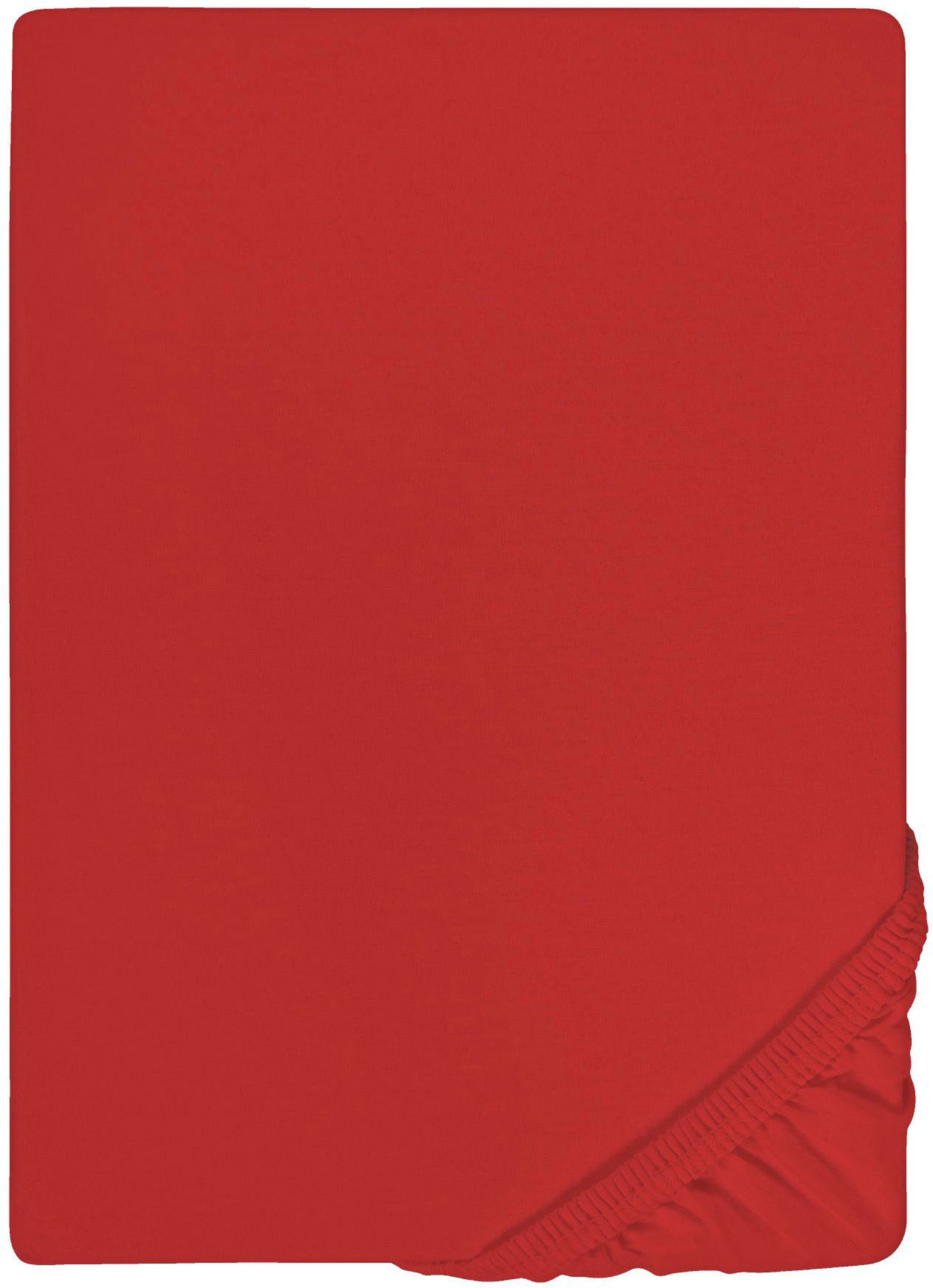 Biberna Spannbettlaken THEA Baumwoll-Jersey mit Elasthan, 160 g/m², Jersey-Elasthan, Gummizug: rundum, (1 Stück), Bettlaken für Matratzen bis 25 cm Höhe, pflegeleicht, bügelfrei