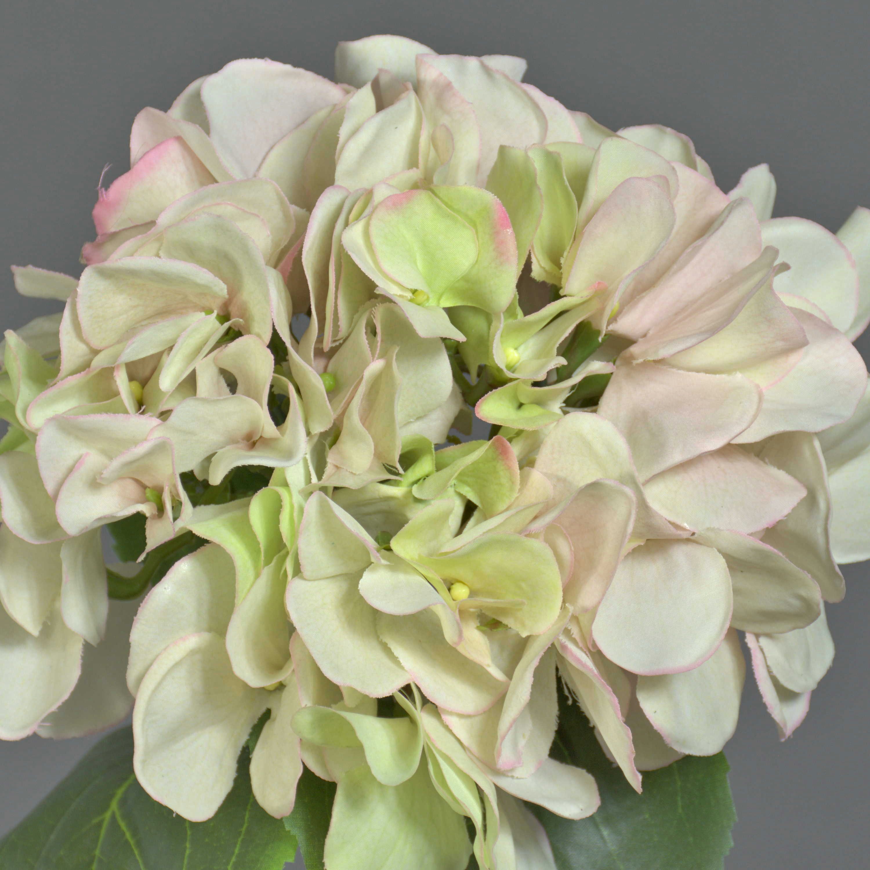 Kunstblume Künstliche Blume Hortensie CHIDORI, Creme Hortensie, artplants, Höhe 60.0 cm