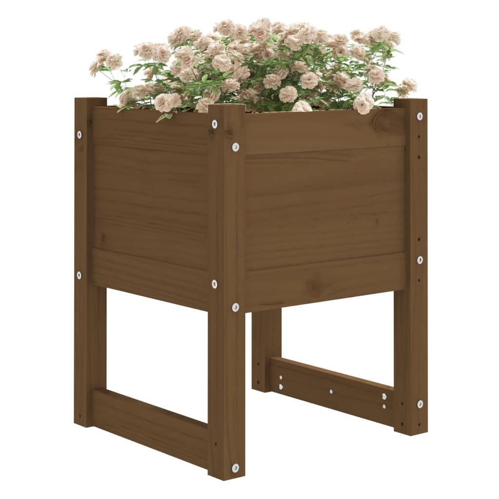 vidaXL Blumentopf Pflanzkübel Honigbraun 40x40x52,5 cm Massivholz Kiefer (1 St)