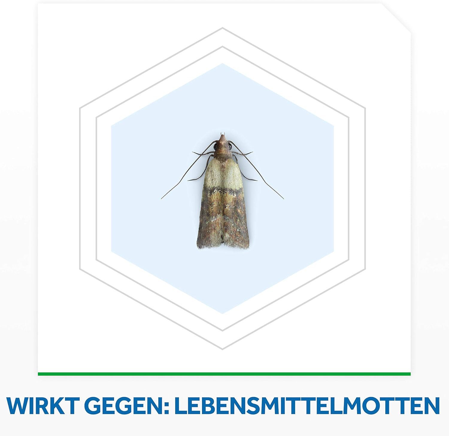 Raid Insektenfalle Essentials Lebensmittel-Mottenfalle, 3 Stück