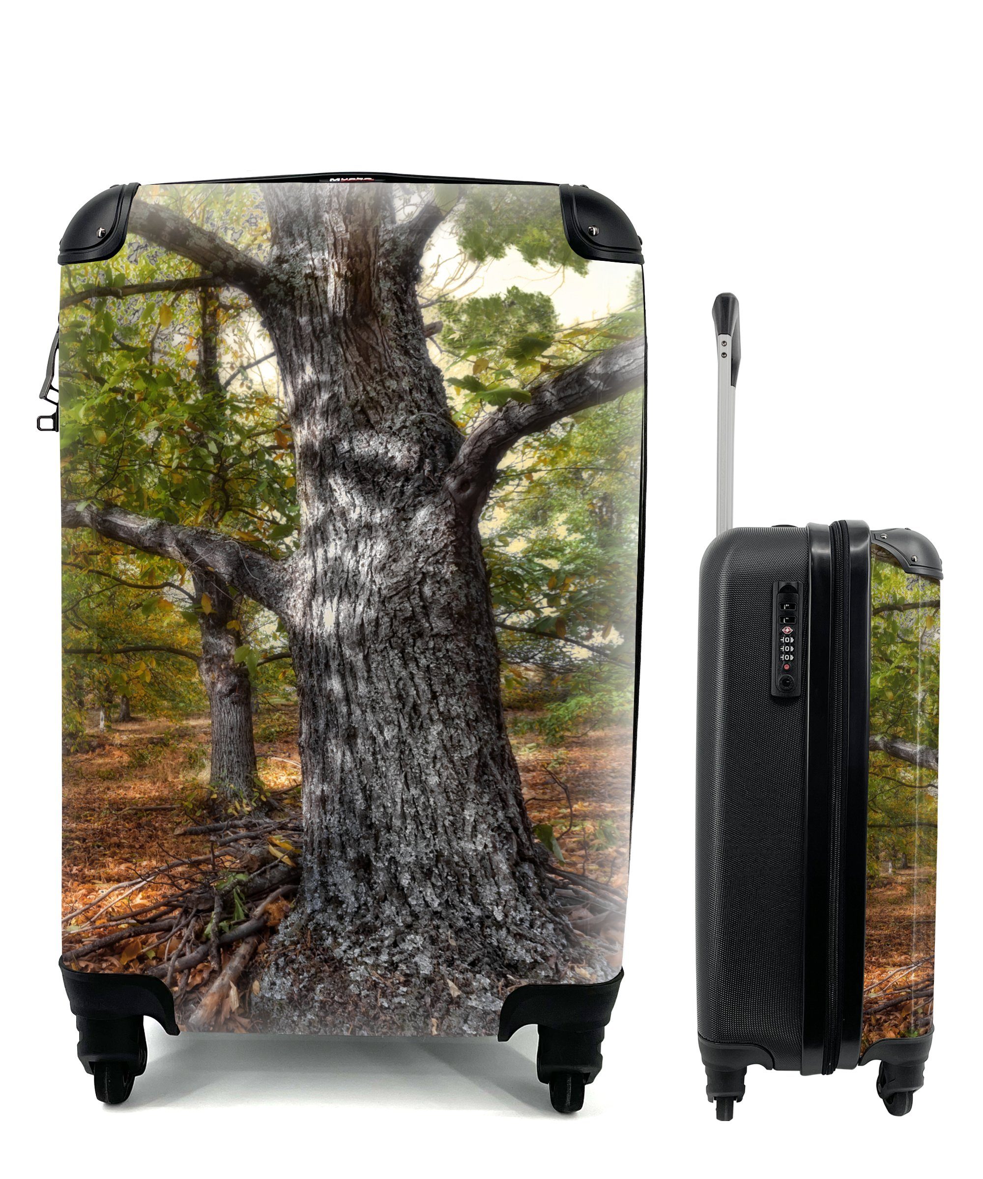 MuchoWow Handgepäckkoffer Reisekoffer Kastanienbäume, Mehrere 4 Handgepäck Rollen, für Ferien, mit Trolley, Reisetasche rollen
