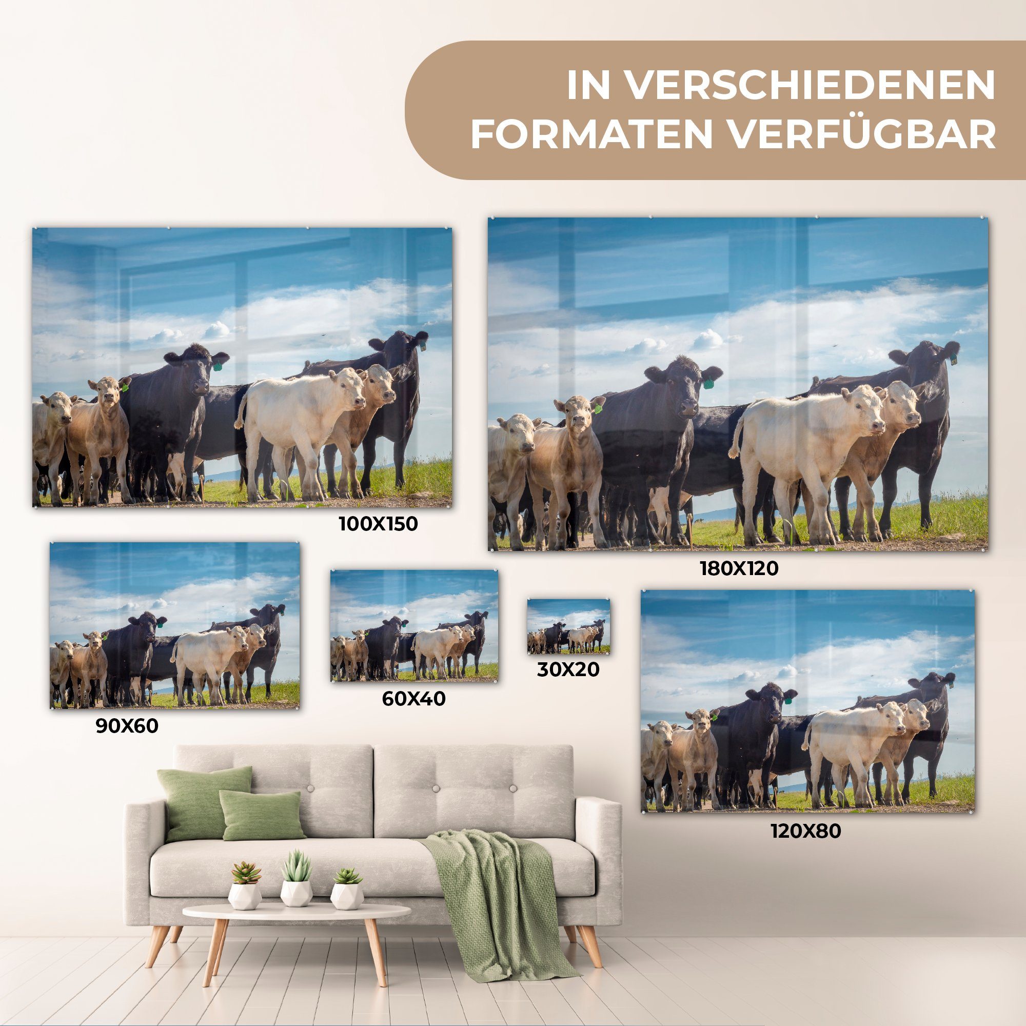 MuchoWow Acrylglasbild Wohnzimmer & Luft, - - (1 St), Tiere Acrylglasbilder Kuh Schlafzimmer