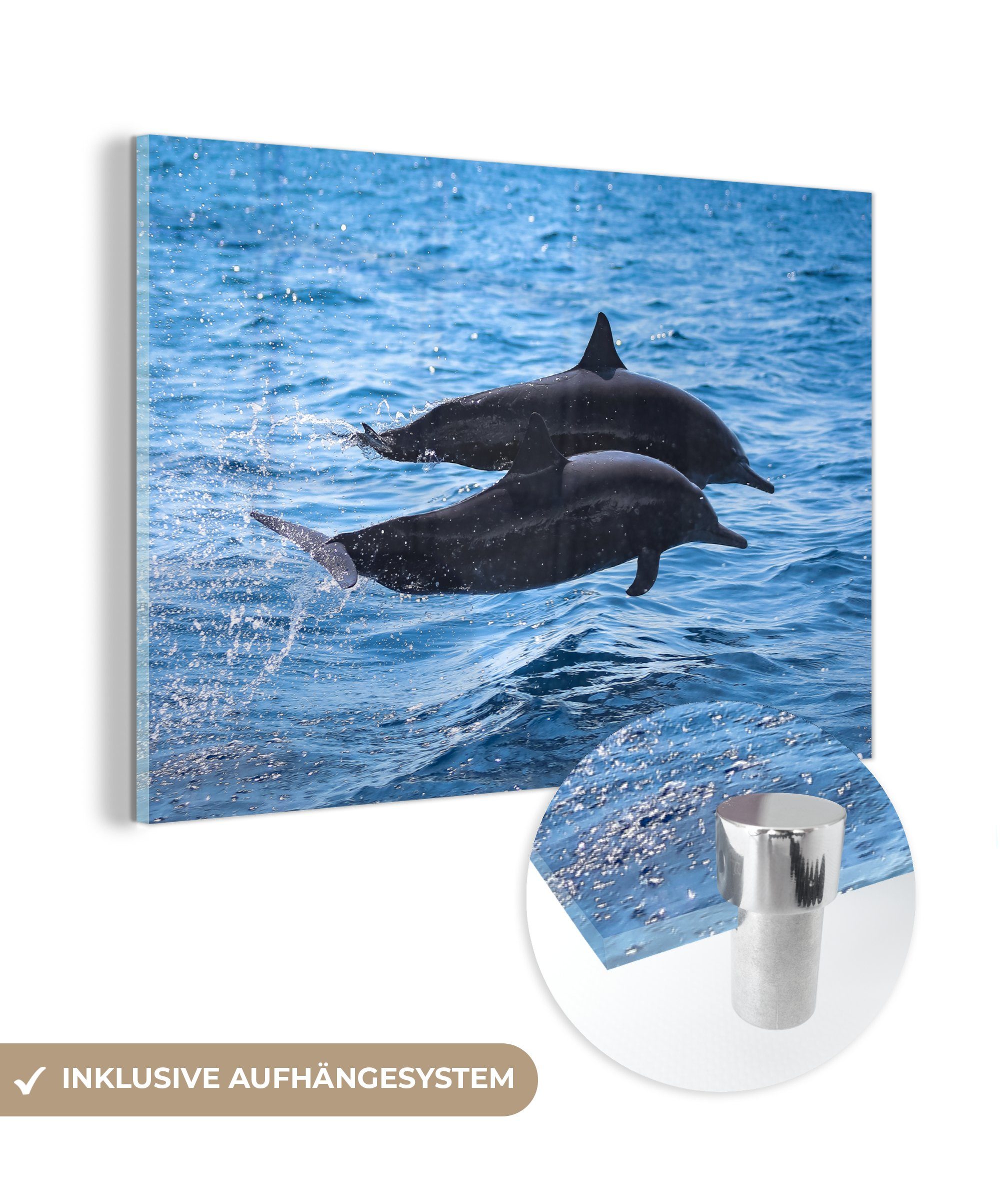 Meer Schlafzimmer Acrylglasbild (1 & - Wohnzimmer Tier, Delfin MuchoWow St), Acrylglasbilder -