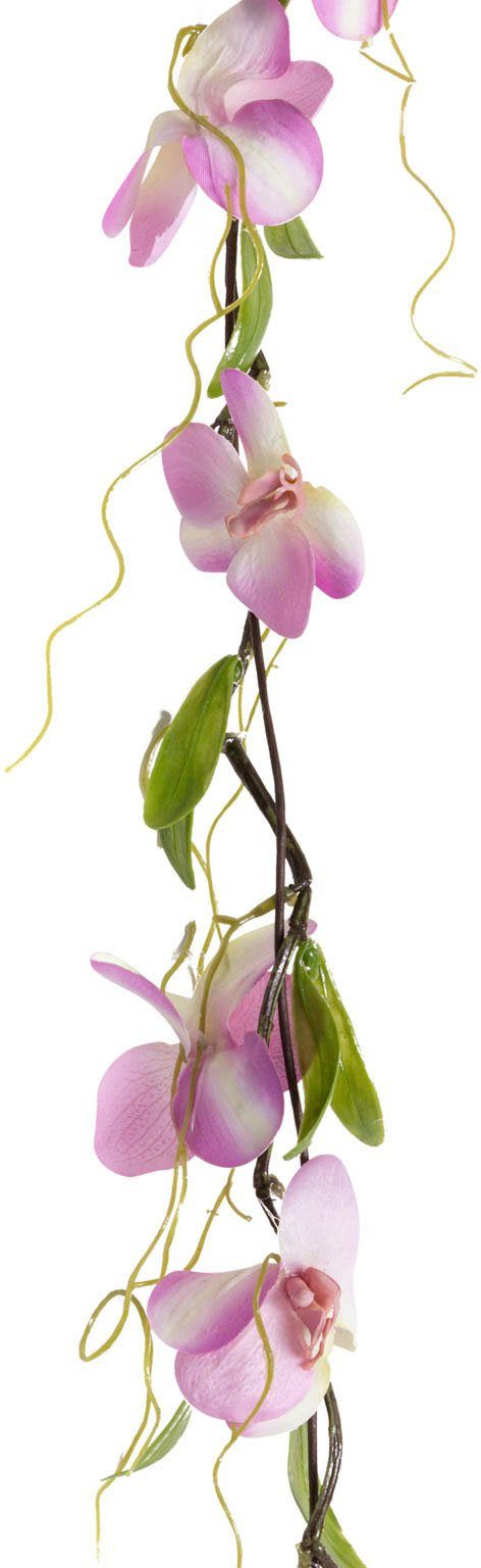 Kunstranke Orchideengirlande Orchidee, 7 ohne pflegeleicht Auch Botanic-Haus, cm, grünen Daumen sehr Höhe