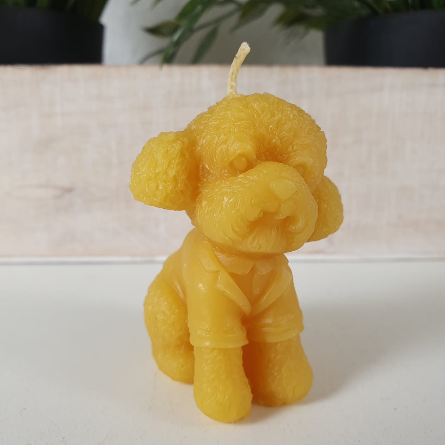 Aspinaworld Formkerze Bienenwachskerze - Pudel Hunde günstig online kaufen