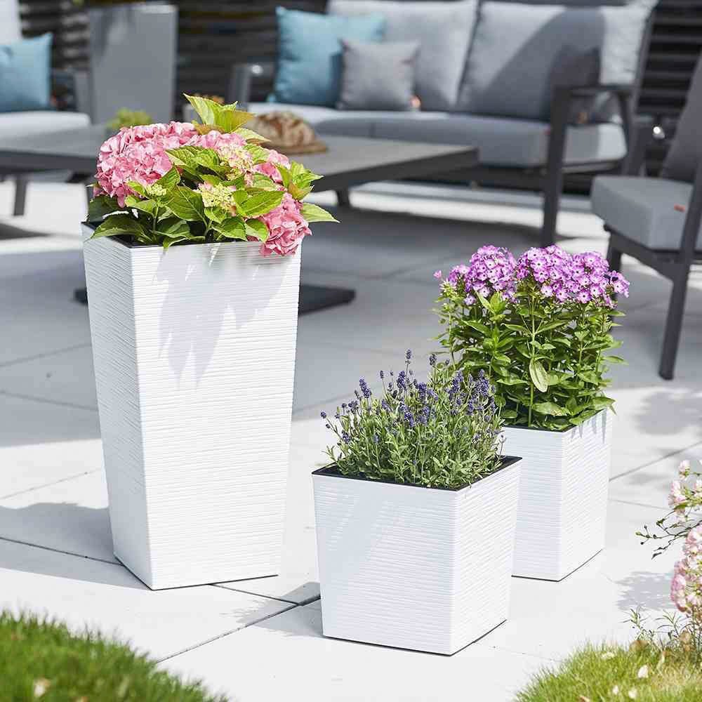 Thumbnail - Siena Garden Pflanzkübel, Rillenoptik, eckig