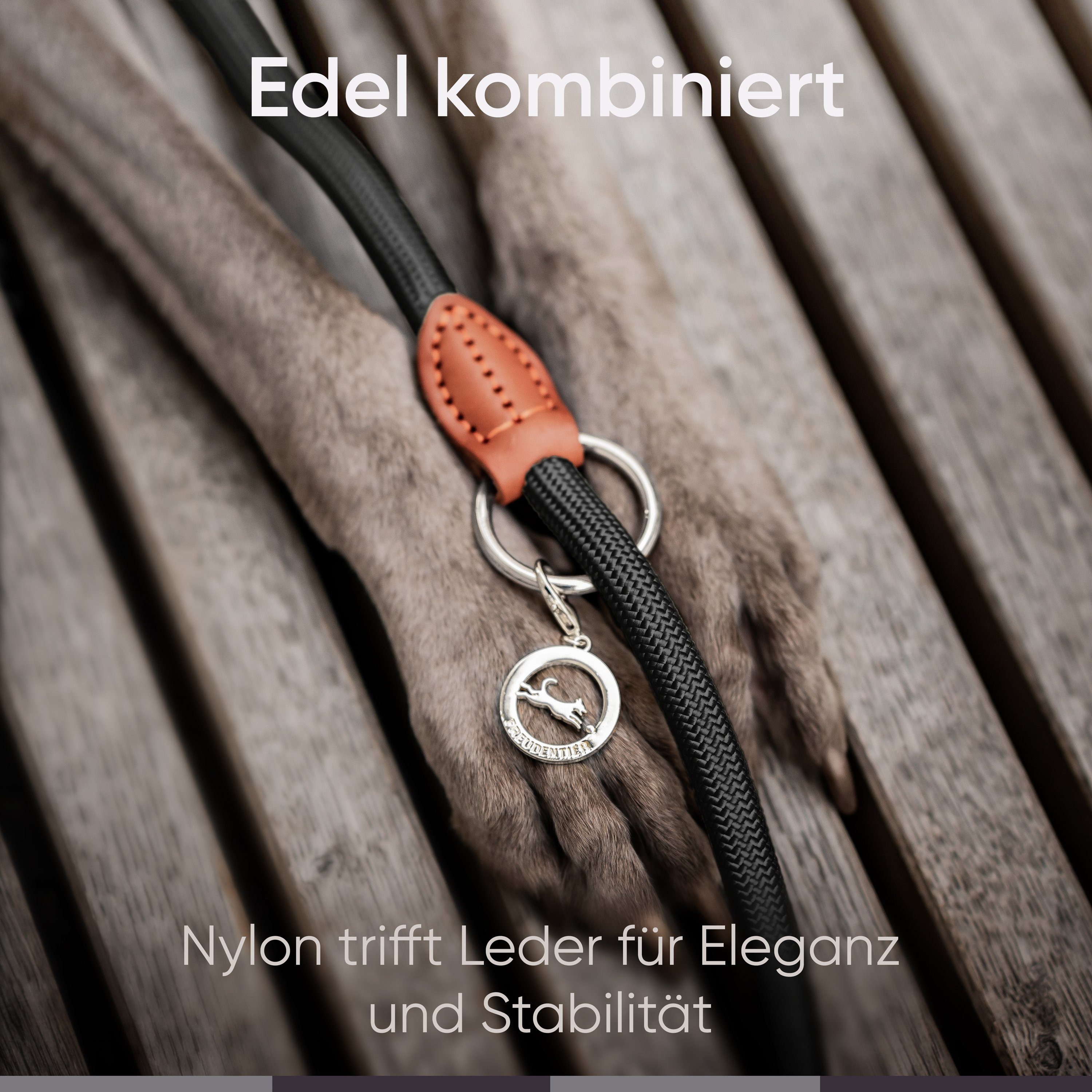 Freudentier Hundeleine für mittelgroße & große Hunde, 2m lang & 3-fach verstellbar, Nylon