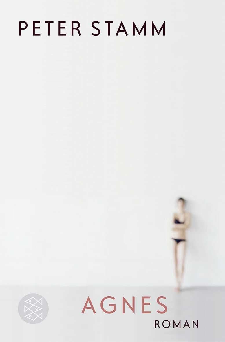 Agnes / Peter Stamm, Roman