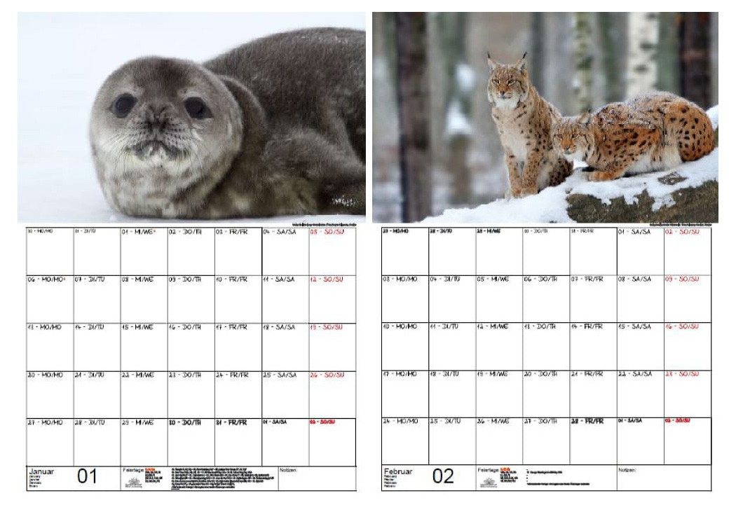 Thumbnail - Seelenzauber Wandkalender Tierzauber Eis und Schnee Wand- Planer Kalender für 2025 DIN A3 Tier