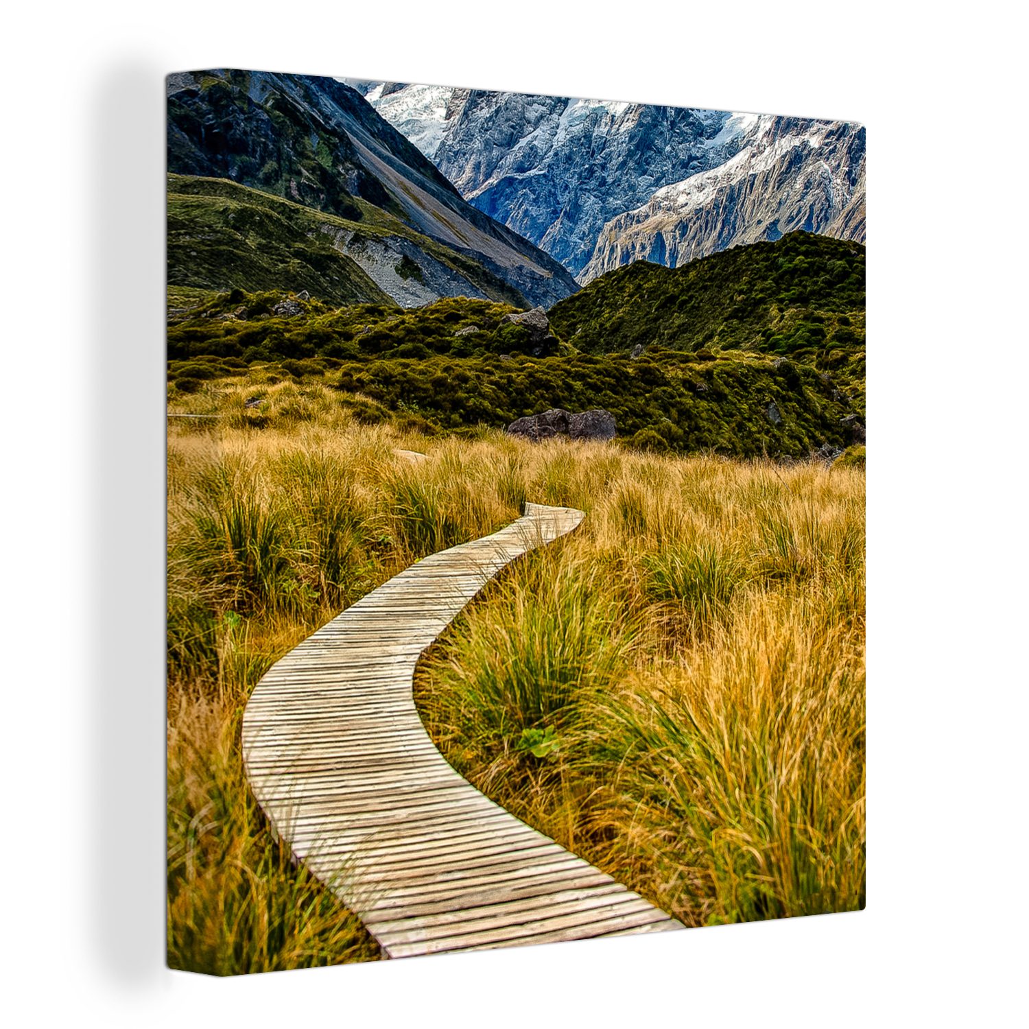 OneMillionCanvasses® Leinwandbild Neuseeland - Kröte - Gras, (1 St), Leinwand Bilder für Wohnzimmer Schlafzimmer