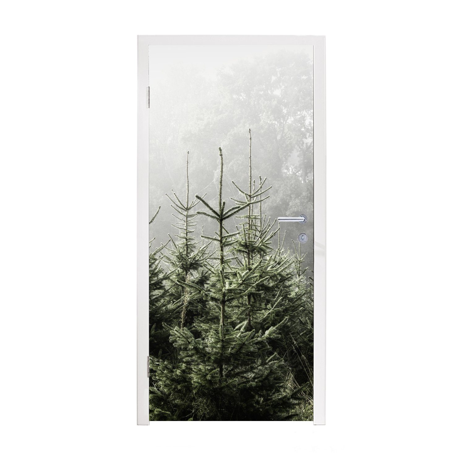 MuchoWow Türtapete um Nebel (1 St), Türaufkleber, Fototapete Matt, Tür, 75x205 einige für Kiefern, bedruckt, cm
