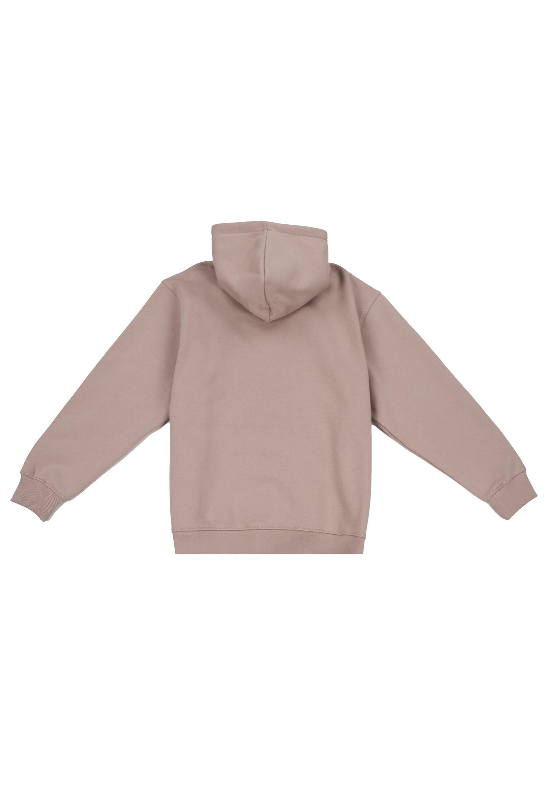 Dropsize Kapuzensweatshirt Dropsize Dropsize REGULAR FIT günstig online kaufen