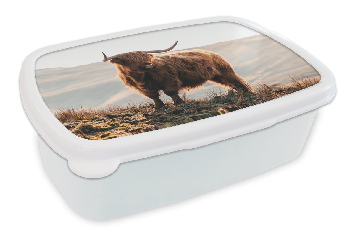 MuchoWow Lunchbox Schottische Highlander - Tiere - Ländlich - Landschaft - Kuh - Natur, Kunststoff, (2-tlg), Brotbox für Kinder und Erwachsene, Brotdose, für Jungs und Mädchen weiß