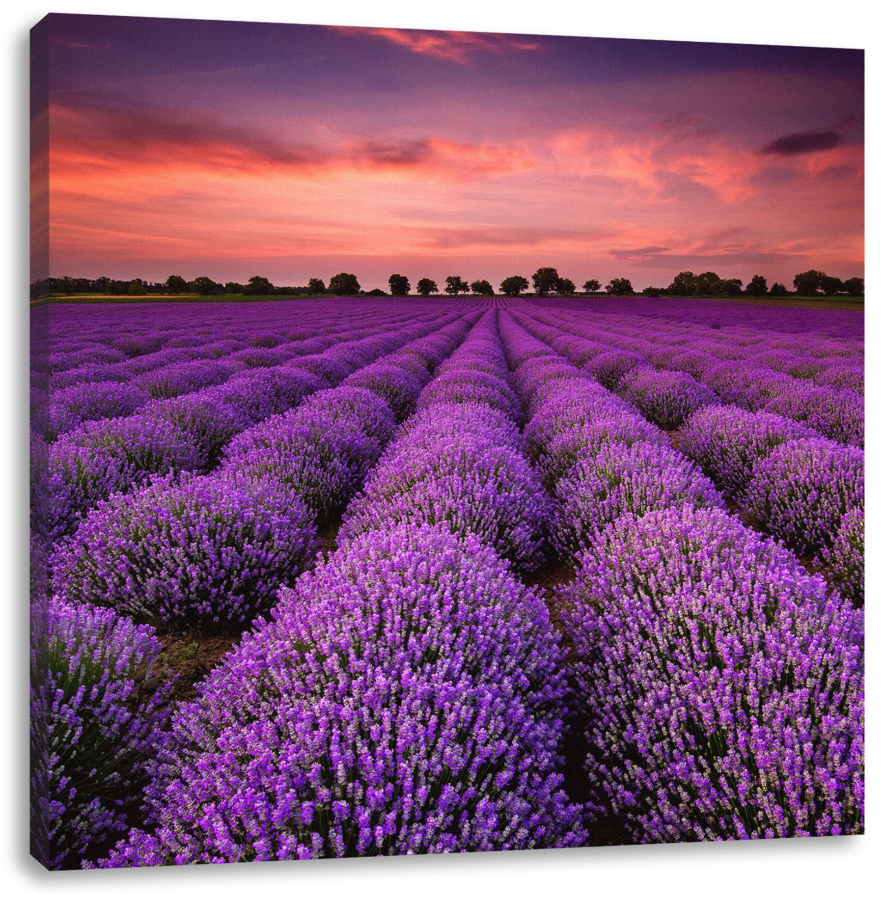 Zackenaufhänger Lavendel fertig inkl. Provence, Pixxprint Leinwandbild Wunderschöne Leinwandbild Lavendel St), Provence (1 Wunderschöne bespannt,