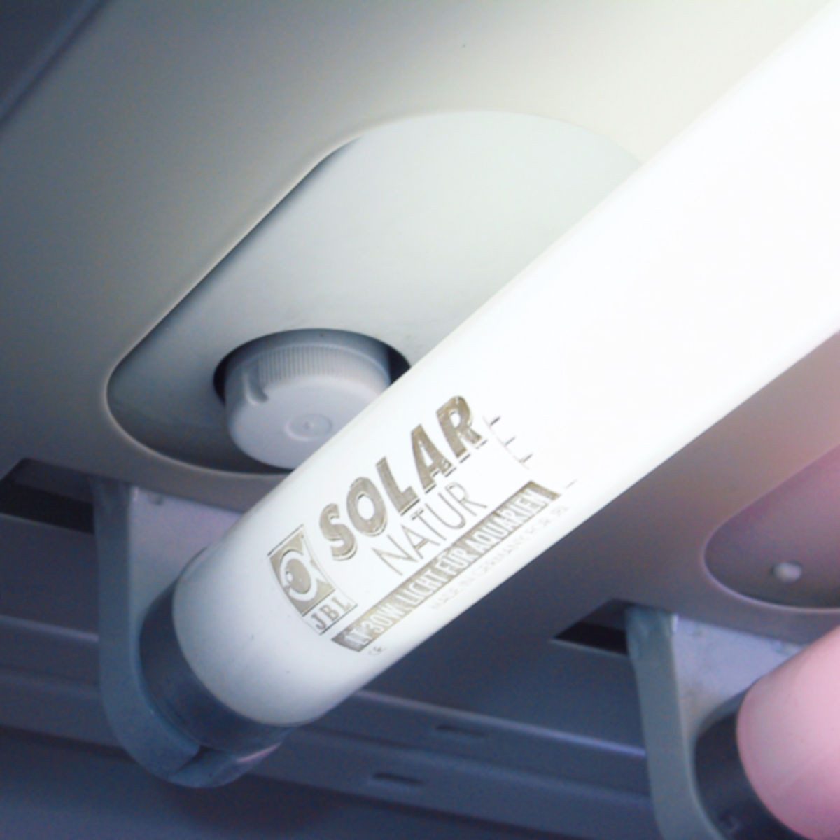 JBL GmbH & Co. KG Aquarium-Beleuchtungssteuerung StartSolar, 2 Starter für T8 Leuchtstoffröhren