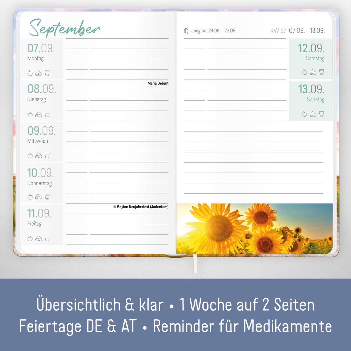 Häfft Terminkalender Großdruck-Kalender 2026 / A5