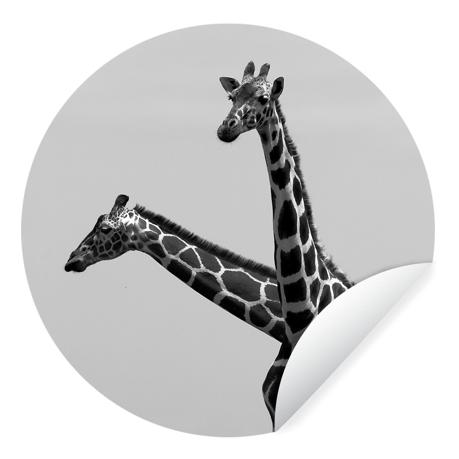 MuchoWow Wandsticker für Schwarz in Giraffen Kinderzimmer, und St), Zwei Wohnzimmer Tapetenkreis Weiß Tapetenaufkleber, Rund, (1