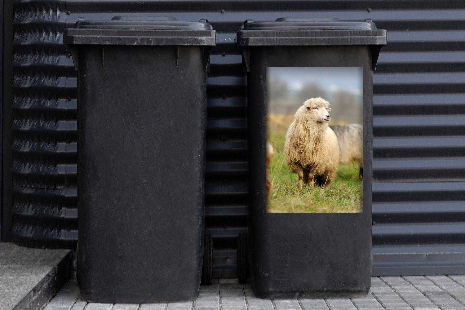 Gras St), Wandsticker Abfalbehälter Wolle Sticker, - Schafe Mülleimer-aufkleber, Mülltonne, Container, - MuchoWow (1