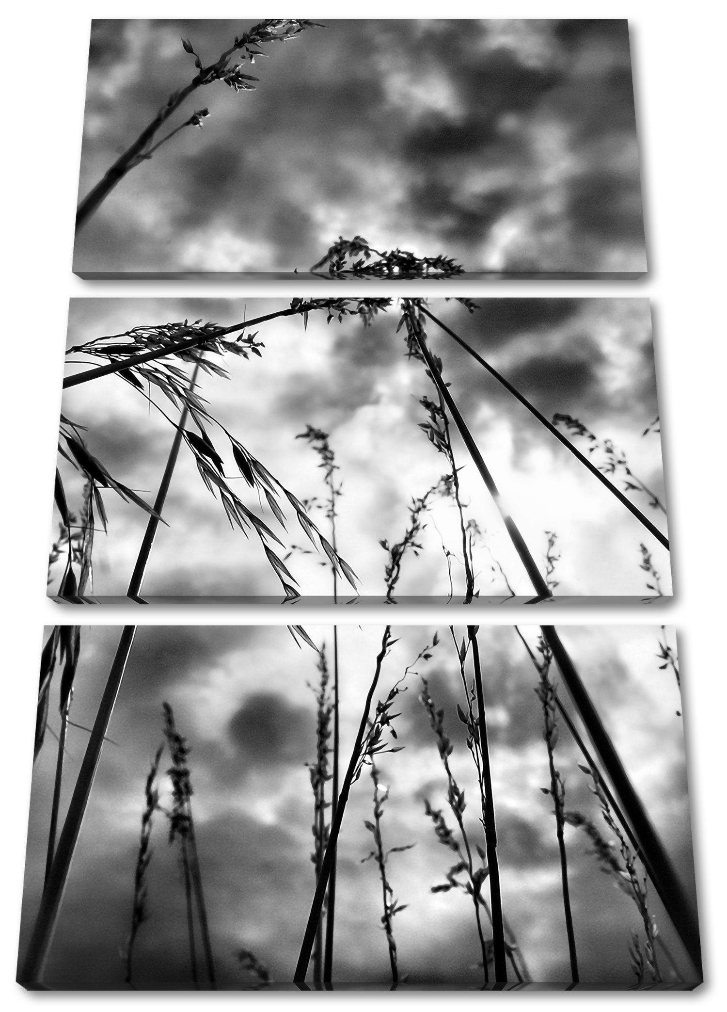 Pixxprint Leinwandbild Grashalme mit dunklem Himmel, Grashalme mit dunklem Himmel 3Teiler (120x80cm) (1 St), Leinwandbild fertig bespannt, inkl. Zackenaufhänger