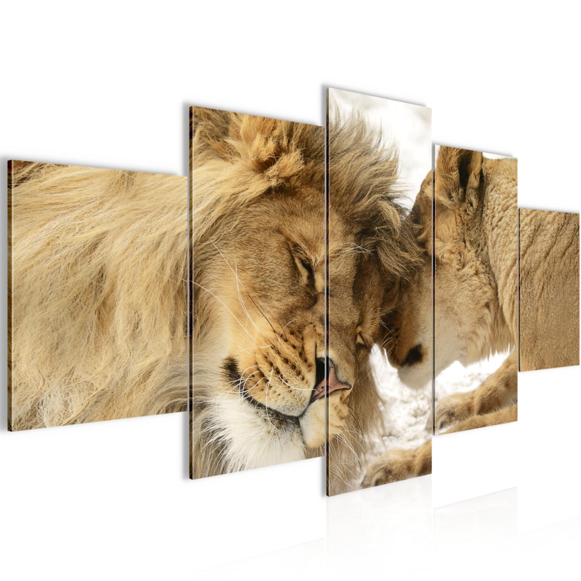 Runa Art Wandbild Löwen Liebe Bild auf Vlies Leinwand Deko Tiere Afrika 002152a, 100L x 50B cm