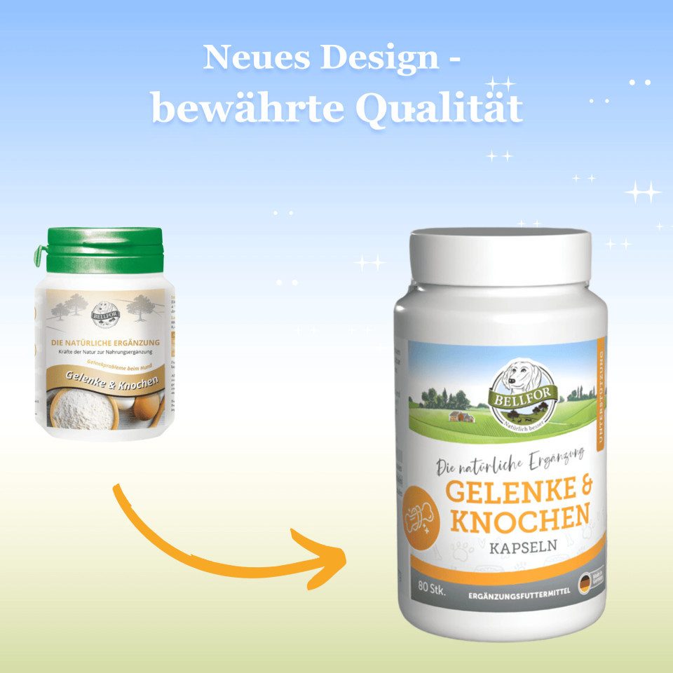 Bellfor Bellfor Gelenke & Knochen mit Ovopet - 80 Kapseln, für: Hunde