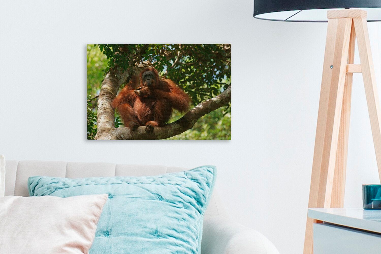 OneMillionCanvasses® Leinwandbild Orang-Utan sitzend Aufhängefertig, cm St), Borneo, (1 Puting in Leinwandbilder, Tanjung Wandbild von in den Bäumen Wanddeko, 30x20