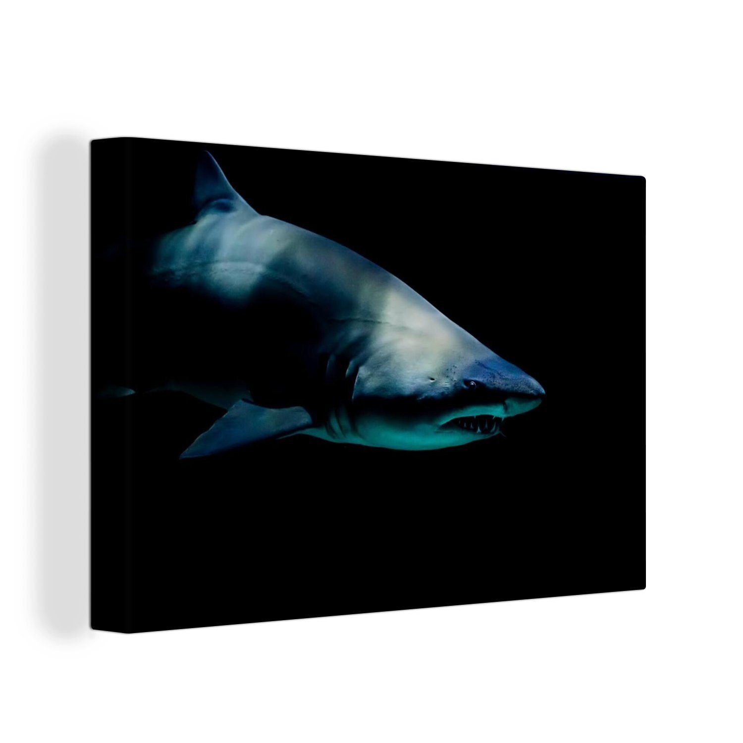 Wasser, cm Wandbild Makro Hai 30x20 Wanddeko, Leinwandbilder, - OneMillionCanvasses® - (1 St), Leinwandbild Aufhängefertig,