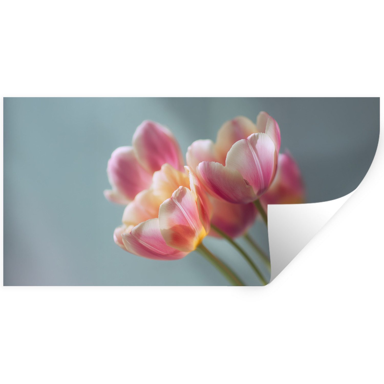 MuchoWow Wandsticker Tulpen - Rosa - Stiele (1 St), Sticker für die Wohnzimmer und Schlafzimmer, 120x60 cm