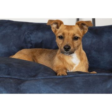 Scruffs & Tramps Hundematratze Hundebett Kensington Größe M 60x50 cm Marineblau