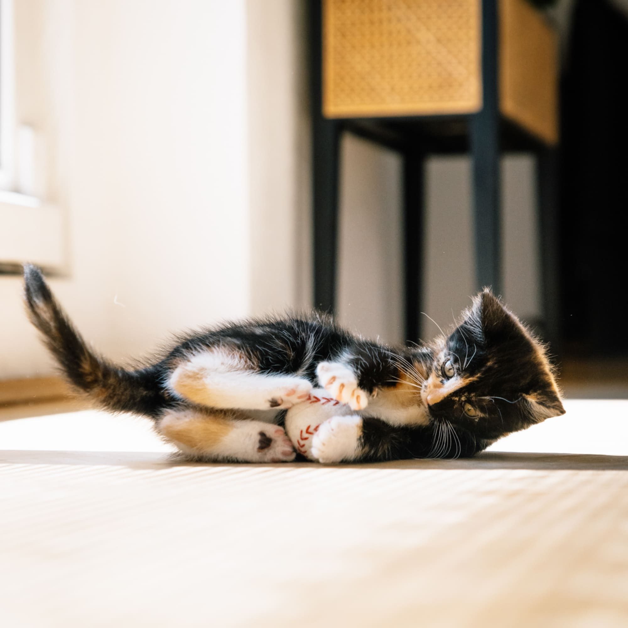 LucyBalu Tierball SUPER BALLS Filzbälle für Katzen, Katzenspielzeug im Sport-Design, Set aus 3 Filzbällchen