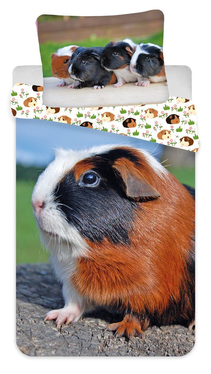 Jerry Fabrics Kinderbettwäsche Meerschwein, Renforcé, 2 günstig online kaufen