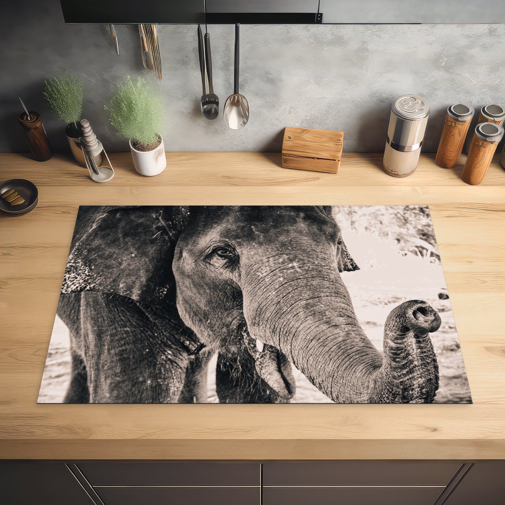 MuchoWow Herdblende-/Abdeckplatte küche, - - Schutz Induktionskochfeld die Elefant 81x52 cm, (1 Schwarz Porträt Weiß, Vinyl, - für Ceranfeldabdeckung tlg)