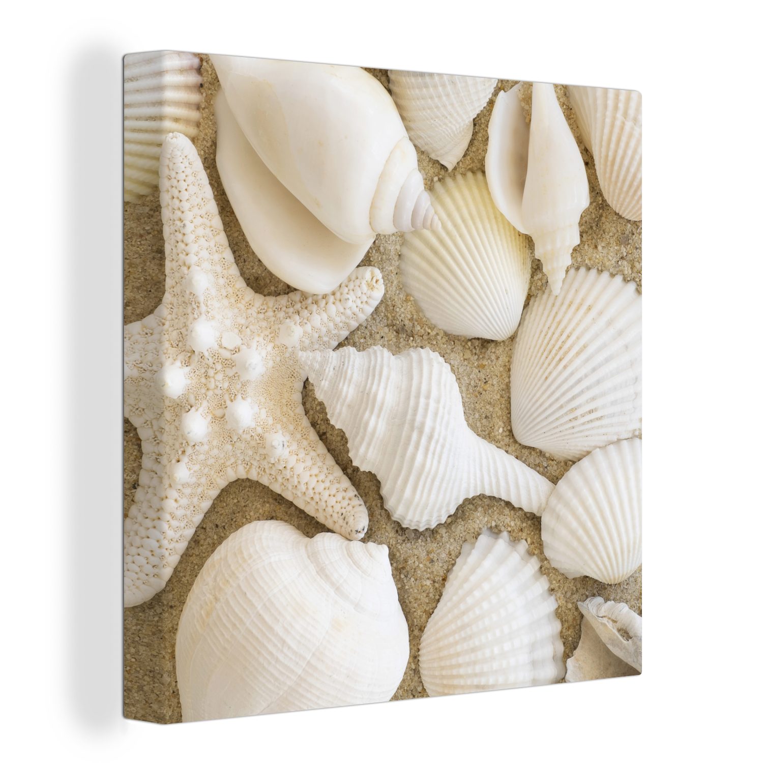 OneMillionCanvasses® Leinwandbild Muschel - Strand - Weiß, (1 St), Leinwand Bilder für Wohnzimmer Schlafzimmer