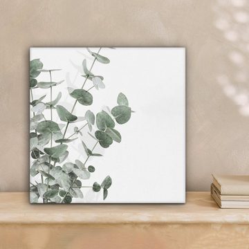 OneMillionCanvasses® Leinwandbild Eukalyptus - Blätter - Natur - Grün, (1 St), Leinwand Bilder für Wohnzimmer Schlafzimmer, 20x20 cm