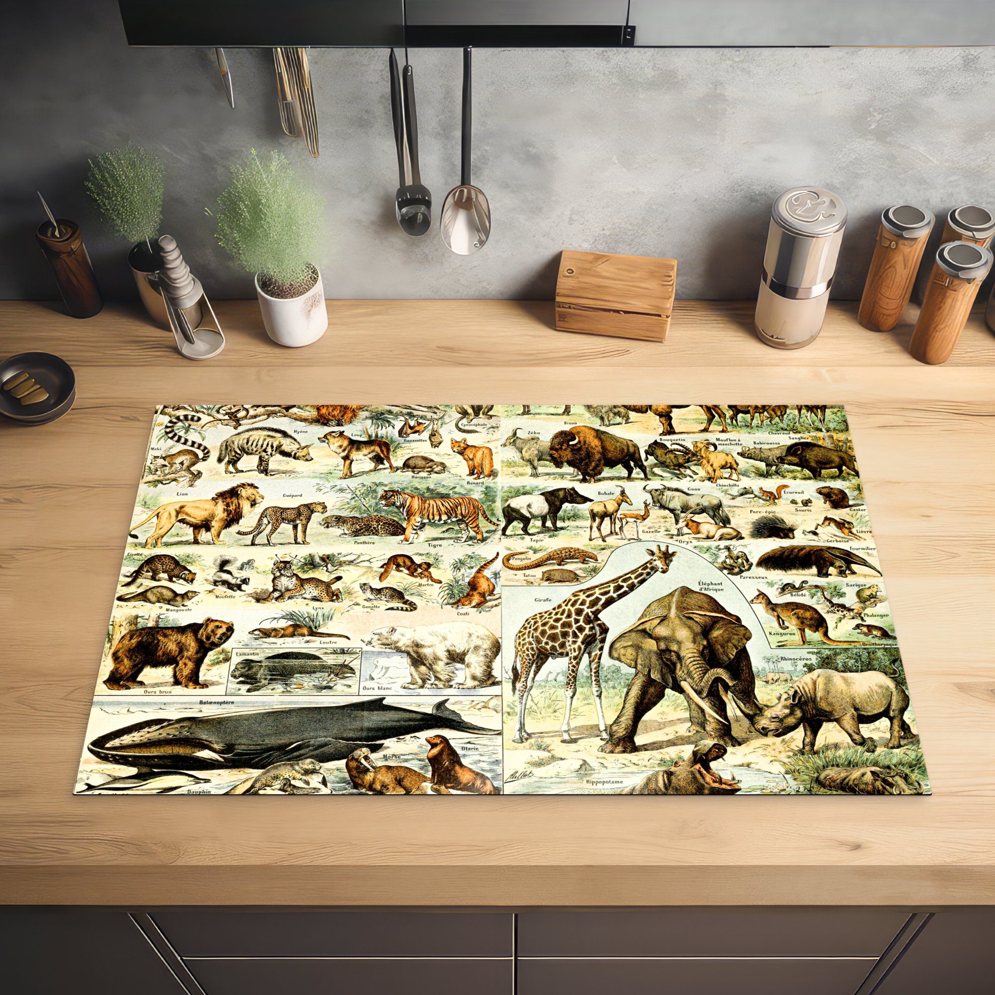Löwe, tlg), - cm, Tiere die Giraffe Ceranfeldabdeckung Induktionskochfeld 81x52 Schutz - Vinyl, (1 für küche, MuchoWow Herdblende-/Abdeckplatte