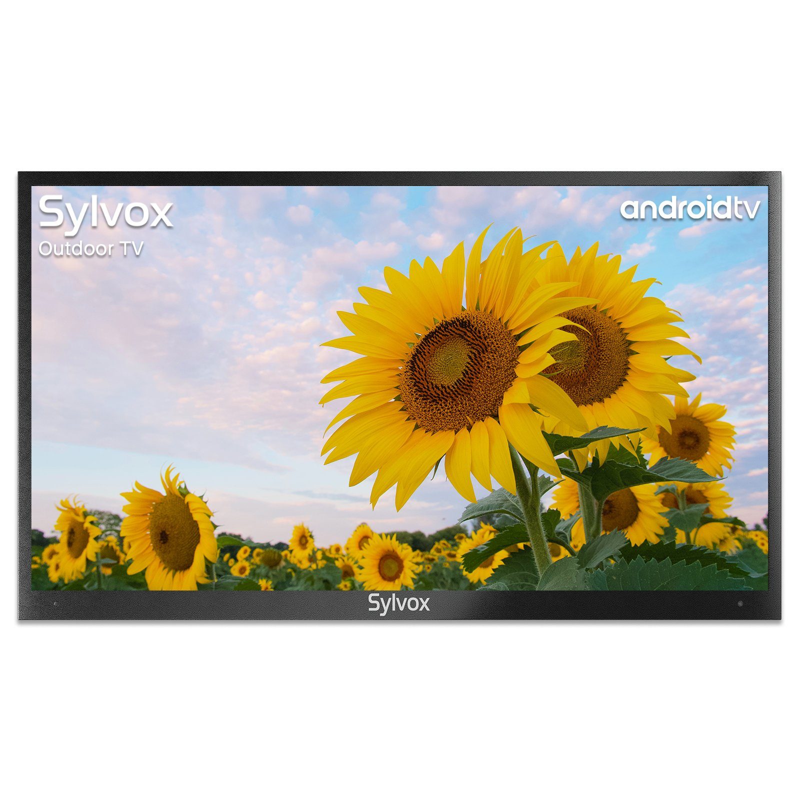 Sylvox OT65A2KEGC LCD-LED Fernseher (165,00 cm/65 Zoll, 4K UHD, Smart ...