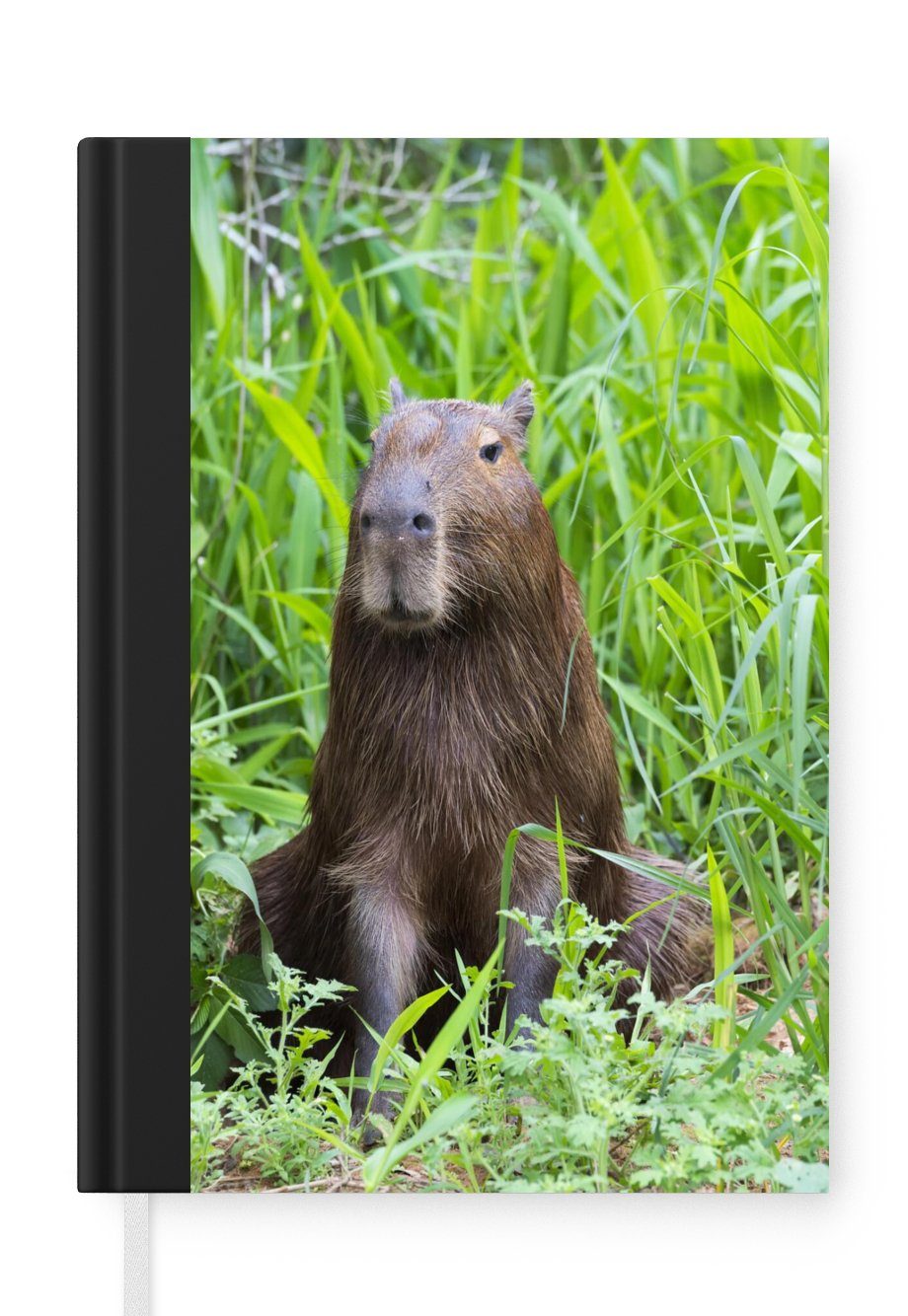 Haushaltsbuch sitzt Seiten, Notizbuch Notizheft, Tagebuch, MuchoWow hohen Wasserschwein Journal, Ein Gras, im Merkzettel, A5, 98 grünen