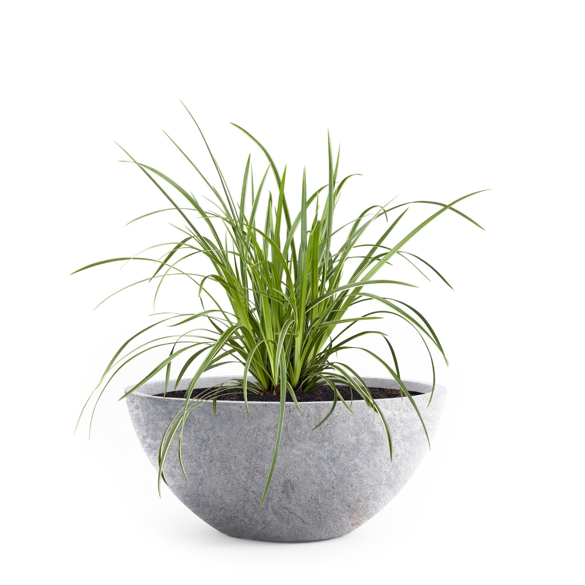 Pflanzwerk® Pflanzschale Pflanzkübel BOWL Frostbeständige Premium Blumenschale mit Lotus-Effekt, Fiberglas - Handgefertigt - Rund - Frostbeständig