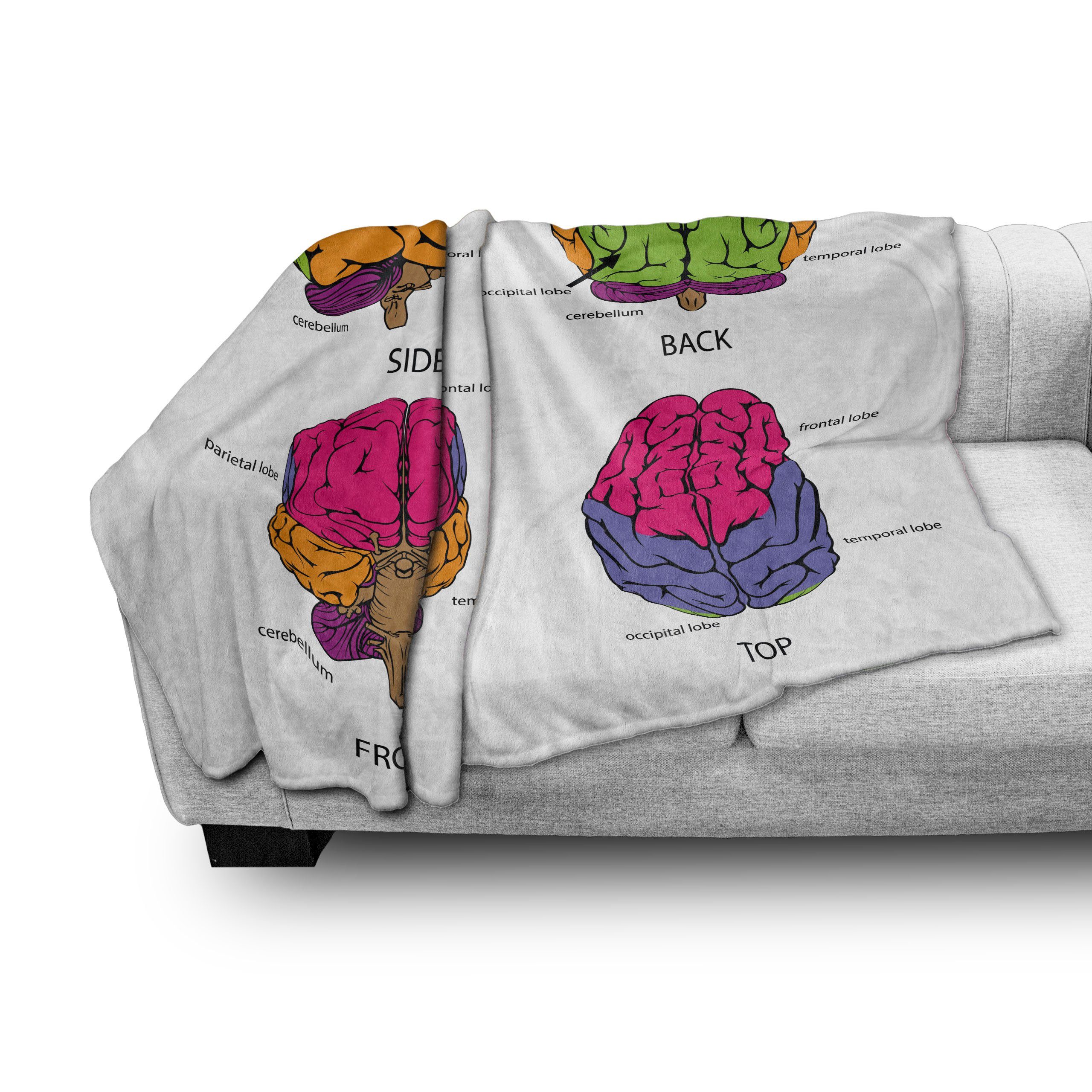 Innen- Colors Brain für und den Außenbereich, Wohndecke Human Abakuhaus, Lehrreich Plüsch Gemütlicher