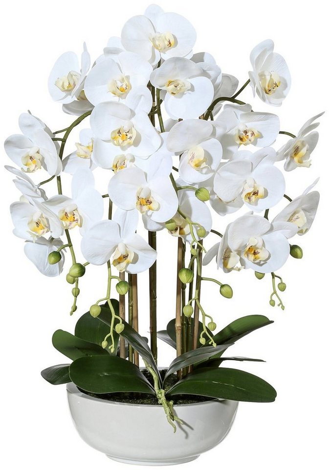 Kunstpflanze Orchidee Phalaenopsis Orchidee, Creativ green, Höhe 66 cm, in  Keramikschale