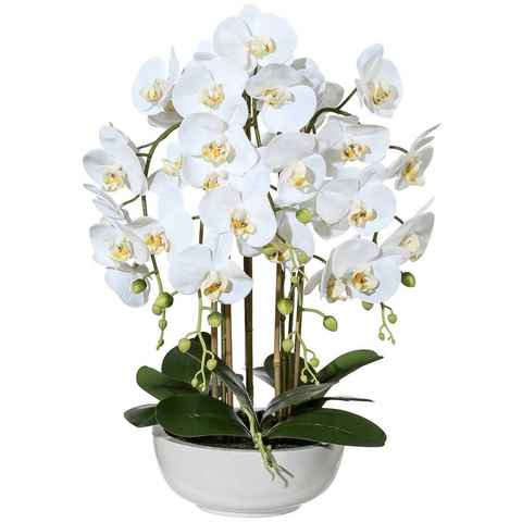Kunstpflanze Orchidee Phalaenopsis Orchidee, Creativ green, Höhe 66 cm, in Keramikschale