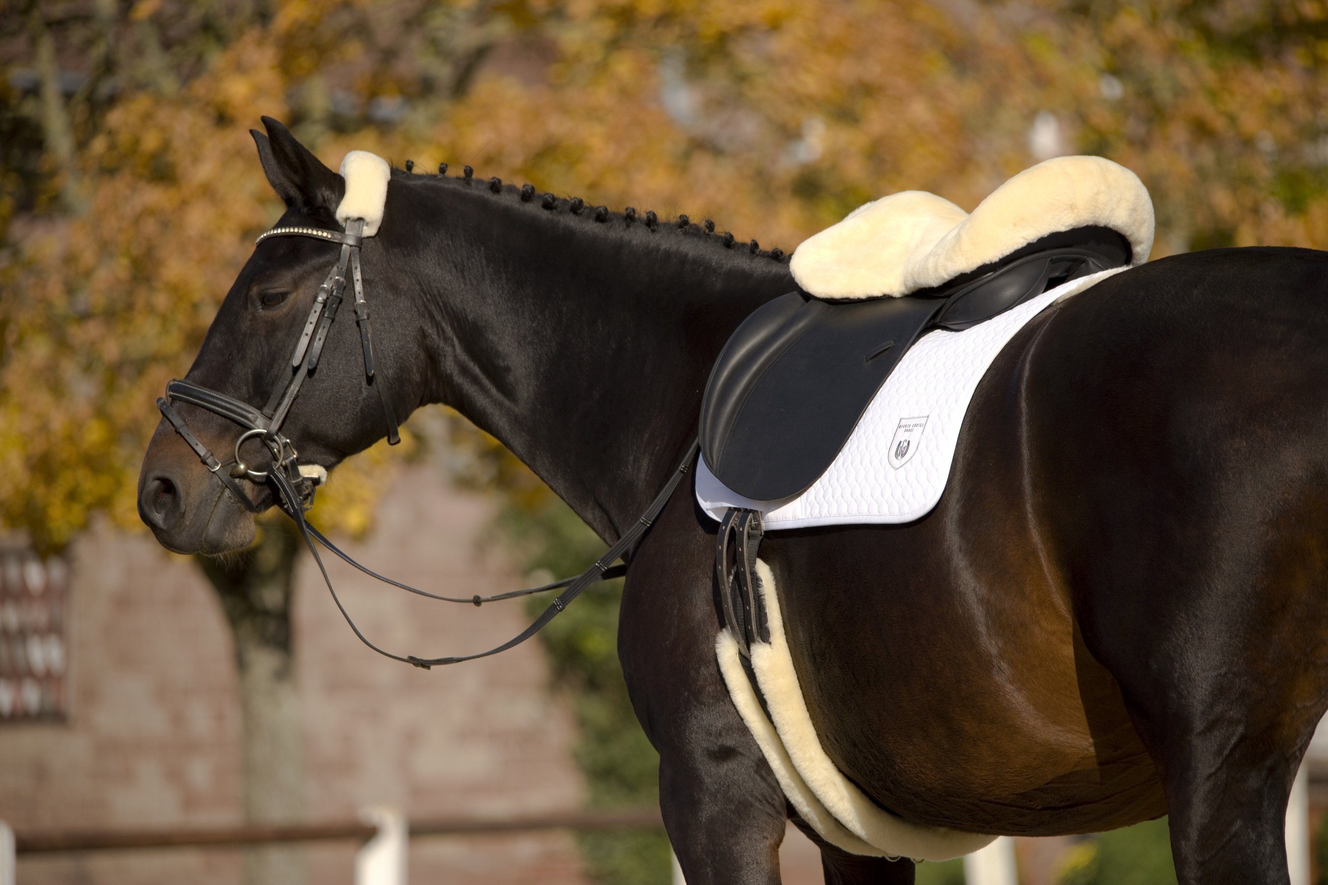 Werner Christ Horse Sattelbezug Sattelsitzbezug Englisch, aus echtem Lammfell – Bild 2 von 5