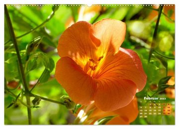 CALVENDO Wandkalender Geliebte Kletterkünstler (Premium, hochwertiger DIN A2 Wandkalender 2023, Kunstdruck in Hochglanz)