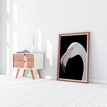 Sinus Art Poster Tierfotografie 60x90cm Poster Nahporträt eines weißen Flamingo