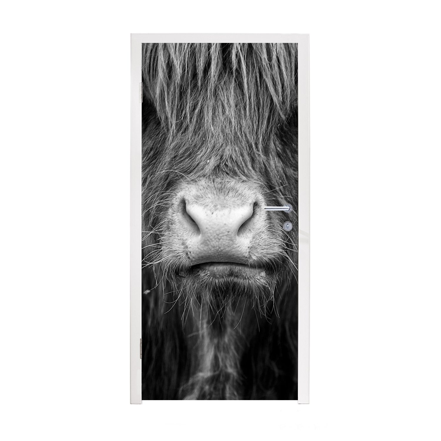 MuchoWow Türtapete Schottischer Highlander - Haare - Tiere, Matt, bedruckt, (1 St), Fototapete für Tür, Türaufkleber, 75x205 cm