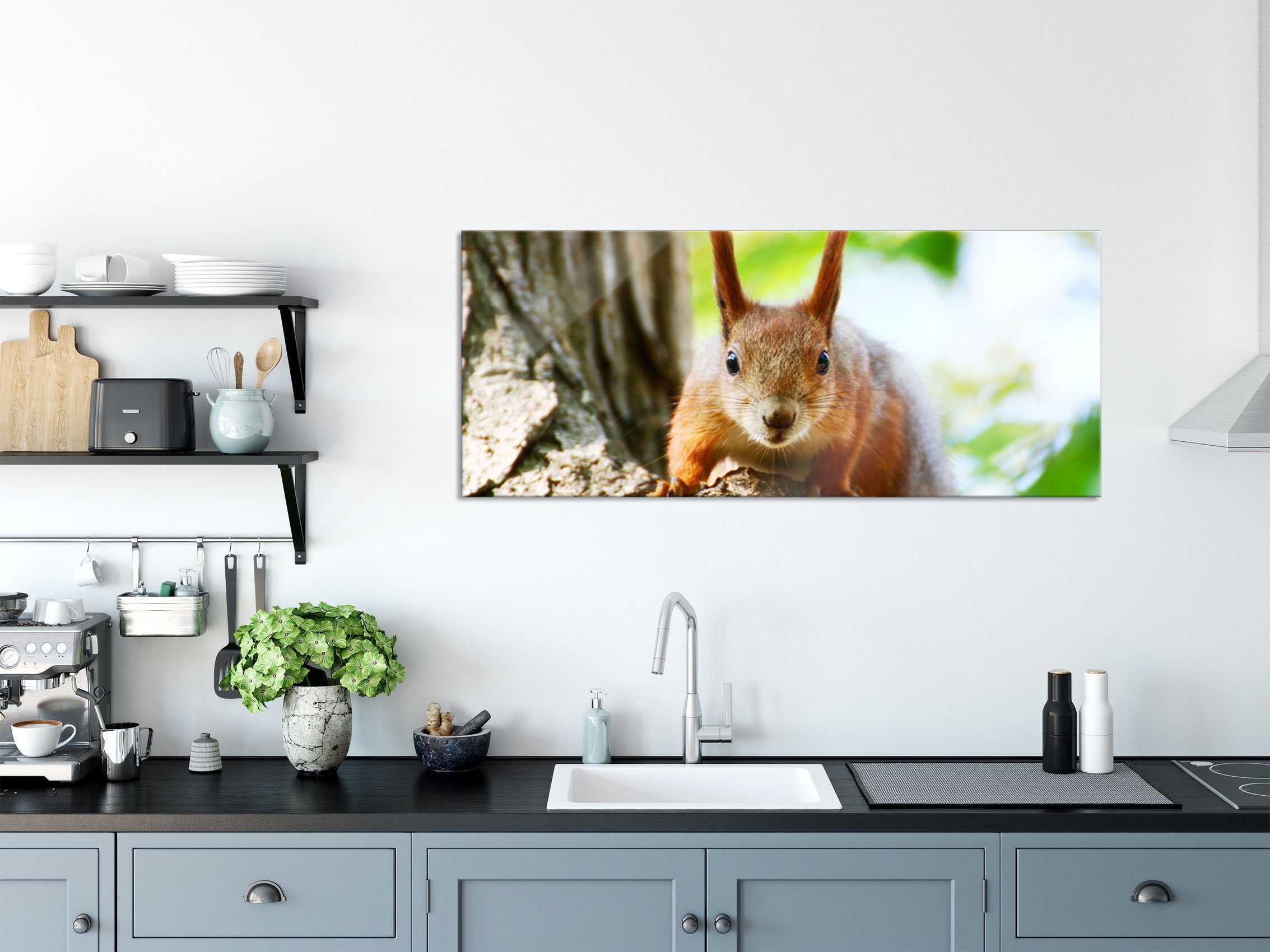 Pixxprint Glasbild Eichhörnchen auf aus St), Glasbild Baum, Eichhörnchen auf dem Abstandshalter Echtglas, inkl. dem Aufhängungen Baum und (1