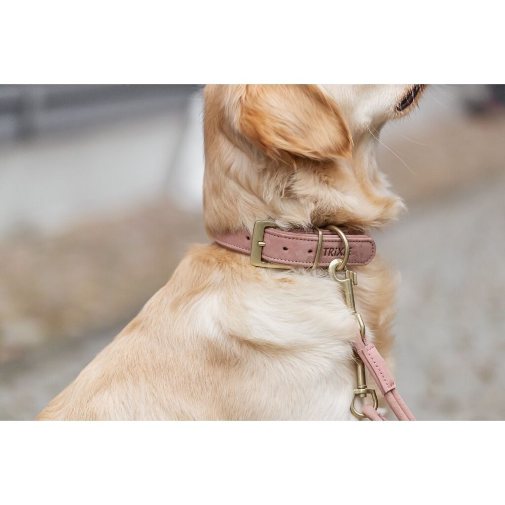 TRIXIE Hunde-Halsband Pure Halsband, Leder extra breit - rosa - 25–31 cm/25 mm, Leder